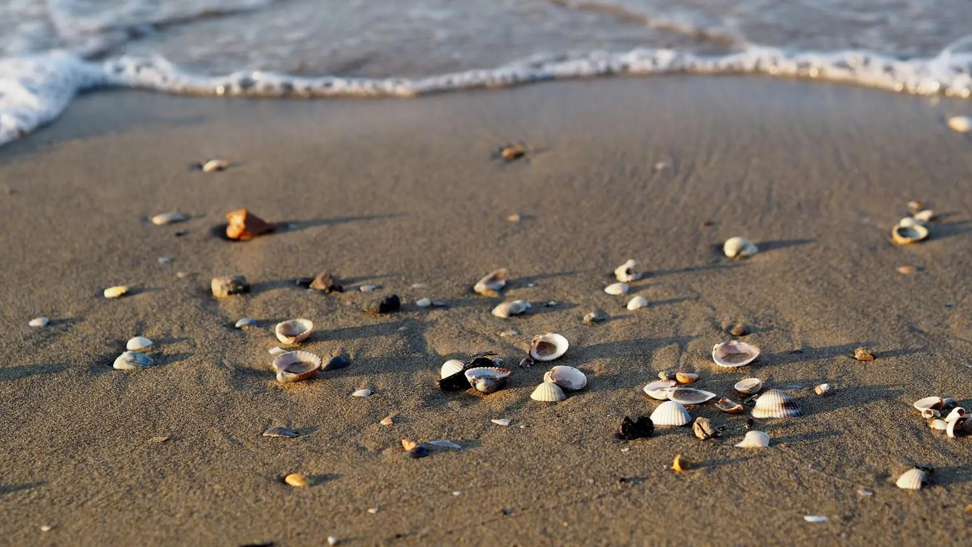 Appartamento Cozy Condo 300M From The Beach - Beahost Bibione